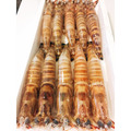 澎湖野生大明蝦 Giant Tiger Prawn_5