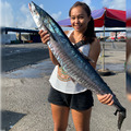 【預購】澎湖野生土魠魚｜Narrow-Barred Spanish Mackerel_8