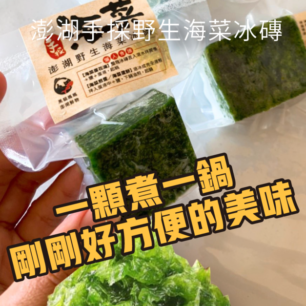澎湖野生手採海菜冰磚｜Seaweed