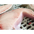 【出清】澎湖極品海鱺魚切丁｜Penghu Premium Cobia Fish Dice_4