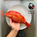 澎湖野生手釣紅秋姑魚｜Penghu Goatfish_4