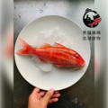 澎湖野生手釣紅秋姑魚｜Penghu Goatfish_2