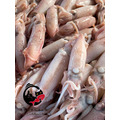 澎湖當季野生熟凍小卷（咪咪卷／拇指卷）｜ Squid