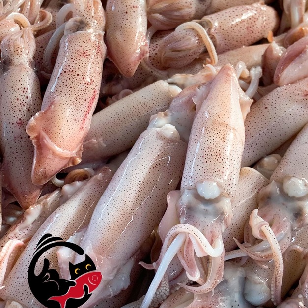 澎湖當季野生熟凍小卷 Squid