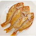澎湖野生魬鯛魚 Cardinal Seabream_8