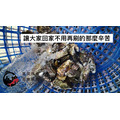 【獨立配送】澎湖當季極品帶殼活牡蠣 含運組［快速出貨⚡️］｜Penghu Oyster_5
