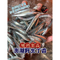 澎湖野生丁香魚【生凍】｜Clove Fish