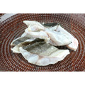 澎湖野生【手釣】花身雞魚（花身鯻／斑午）｜Penghu Terapon_5