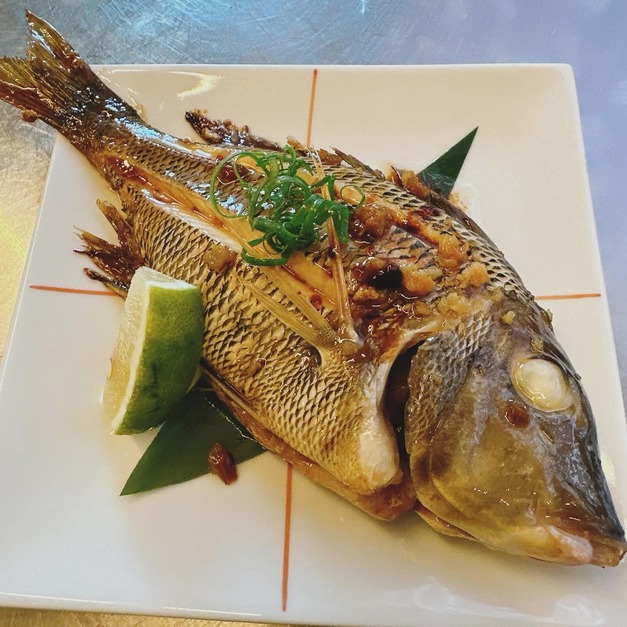澎湖野生正龍占 Sand Snapper