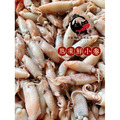 澎湖當季野生熟凍小卷（咪咪卷／拇指卷）｜ Squid_1