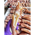 澎湖當季野生爆蛋冰卷【熟凍】｜Squid with Eggs 抱蛋小卷_1