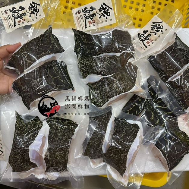 澎湖野生錢鰻【活處理】Moray Eel