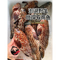 澎湖野生玳瑁石斑魚 花格｜Penghu Grouper (Epinephelus quoyanus)