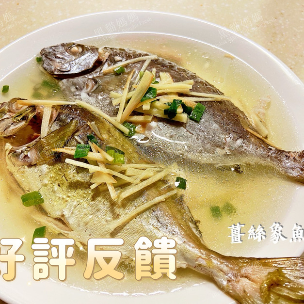 澎湖野生象魚 臭肚仔｜Penghu Rabbitfish 臭肚魚