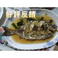 【預購】澎湖野生象魚 臭肚仔｜Penghu Rabbitfish_11