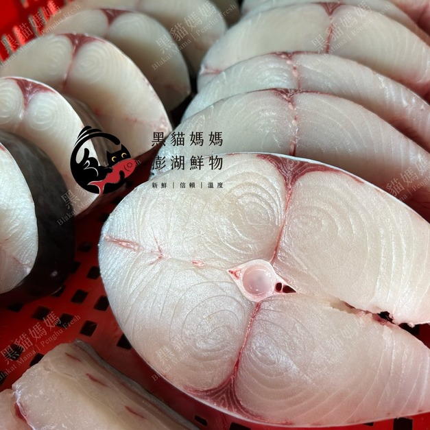 澎湖野生土魠魚【手釣】｜Line-Caught Spanish Mackerel