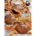 澎湖野生蟹管肉【清肉】中大尺寸・100%純肉｜Penghu Crab Meat_3