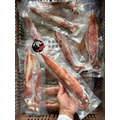 澎湖野生小管（透抽／中卷）【手釣、生食級】｜Penghu Wild Neritic Squid_1