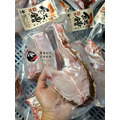 澎湖野生手釣紅鰽魚【海釣】銀紋笛鯛｜Penghu Line-Caught Red Snapper_8