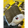 澎湖野生錢鰻【活處理】切塊｜Penghu Wild Moray Eel_4
