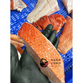 澎湖野生紅鰷【手釣】分切真空包｜Penghu Red Grouper 紅條_2