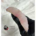 澎湖野生雲紋石斑【船釣】｜Penghu Wild Grouper_3