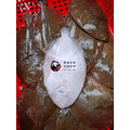 澎湖野生比目魚 扁魚｜Penghu Wild Flounder/ Flatfish_3