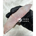 澎湖野生雲紋石斑【船釣】｜Penghu Wild Grouper_1