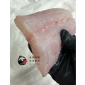 澎湖野生雲紋石斑【船釣】｜Penghu Wild Grouper_8