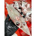 澎湖野生印度長絲鯵【定置網活魚】輪切片｜Alectis indicus（銅鏡魽仔／白鬚公）