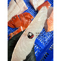 澎湖野生紅鰷【手釣】分切真空包｜Penghu Red Grouper 紅條_1