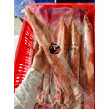 澎湖野生活凍砲管【手釣】大尺寸｜Penghu Line-Caught Neritic Squid