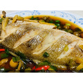 澎湖野生三牙【船釣】紅牙䱛｜Penghu Tigertooth Croaker_8