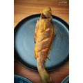 澎湖野生三牙【船釣】紅牙䱛｜Penghu Tigertooth Croaker_7