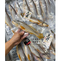 澎湖野生三牙【船釣】紅牙䱛｜Penghu Tigertooth Croaker_6