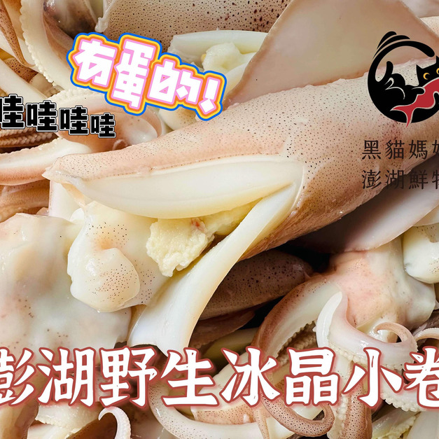 澎湖當季野生爆蛋冰卷【熟凍】｜Squid with Eggs 抱蛋小卷
