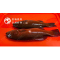 澎湖野生紅鰷【漁獵】近海限定肥美款｜老饕級野生魚 Red Grouper 紅條_3