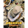 澎湖極品牡蠣清肉｜Farmed Oyster meat_3