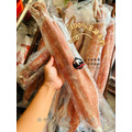 澎湖野生活凍砲管【手釣】生食級 大尺寸｜Line-Caught Neritic Squid_3