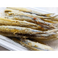 澎湖野生水針【手釣】斑鱵｜Black-barred Halfbeak_9
