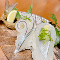 澎湖野生水針【手釣】斑鱵｜Black-barred Halfbeak_11