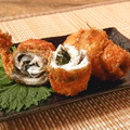 澎湖野生水針【手釣】斑鱵｜Black-barred Halfbeak_10