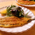 澎湖野生水針【手釣】斑鱵｜Black-barred Halfbeak_7