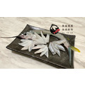 澎湖野生水針【手釣】斑鱵｜Black-barred Halfbeak_4