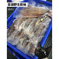 澎湖野生活凍軟絲【手釣】生食級｜Line-Caught Squid_9