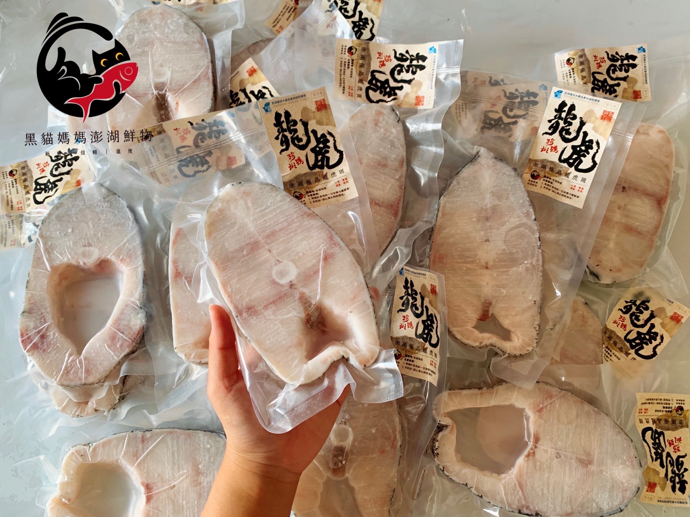 澎湖極品龍虎斑 輪切片Penghu Grouper