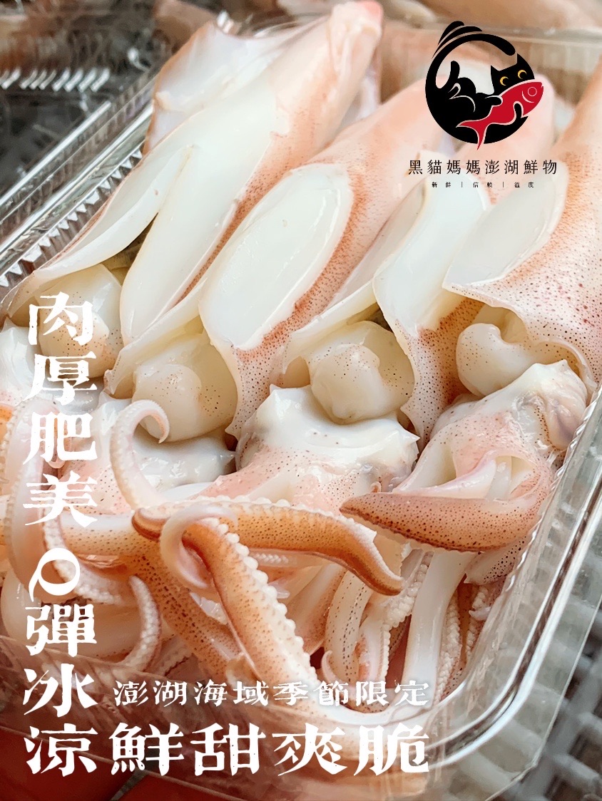 澎湖當季野生熟凍冰卷 Squid