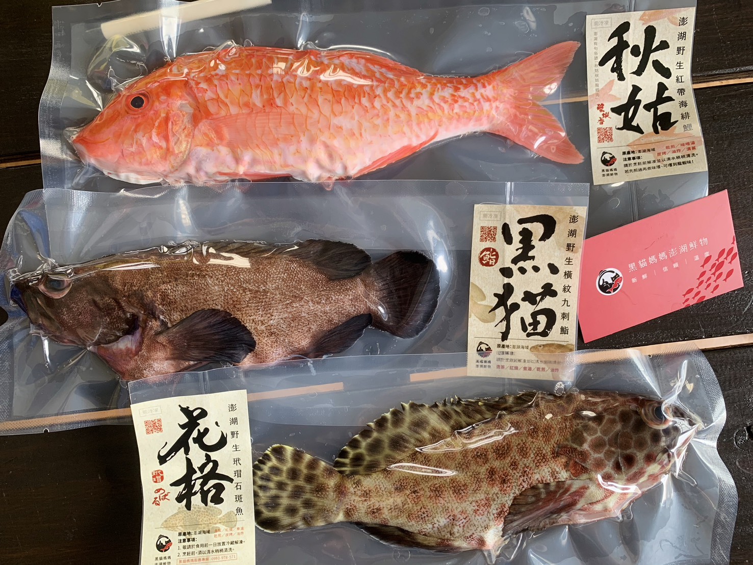 澎湖海鮮冷凍宅配推薦｜怎麼選才不踩雷？黑貓媽媽教你吃到真正新鮮的澎湖海產