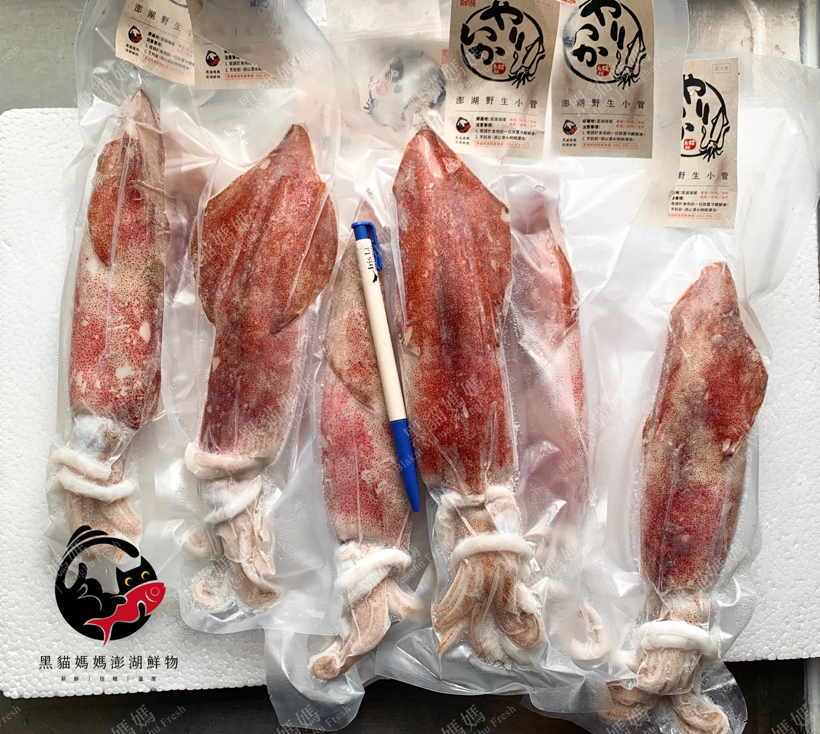 《透抽怎麼清？一張圖看懂頭足類內臟位置與處理方式》