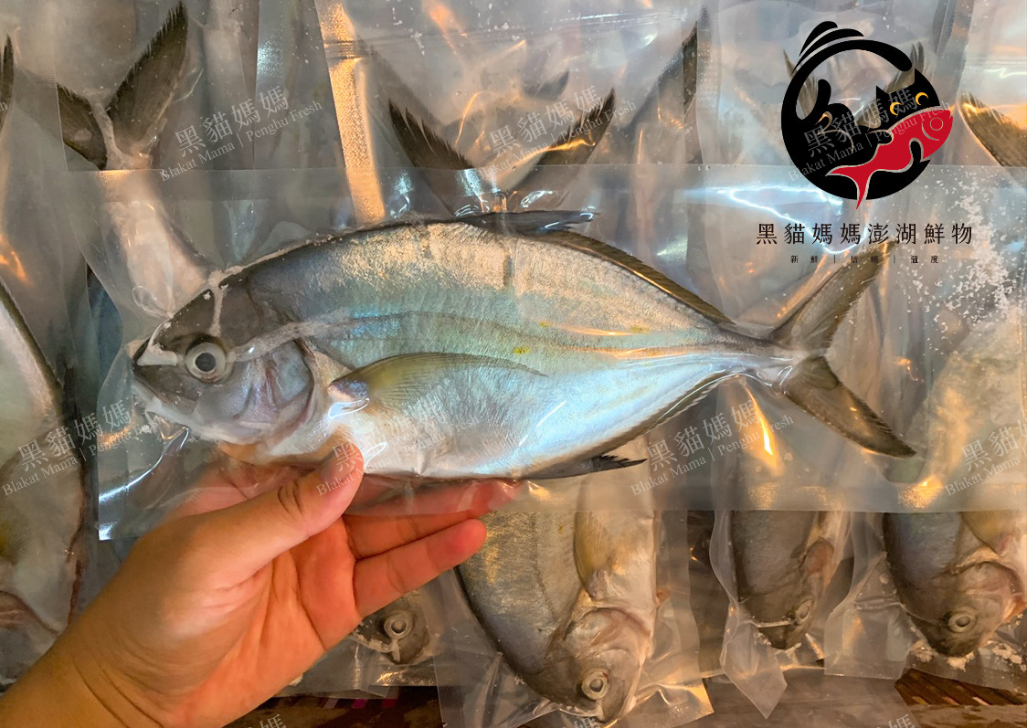 你都解凍錯了！冷凍海鮮的黃金復活法